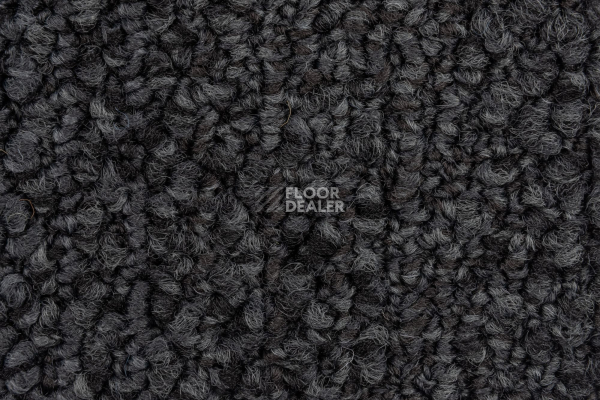 Desso Marvel 9990 фото 2 | FLOORDEALER